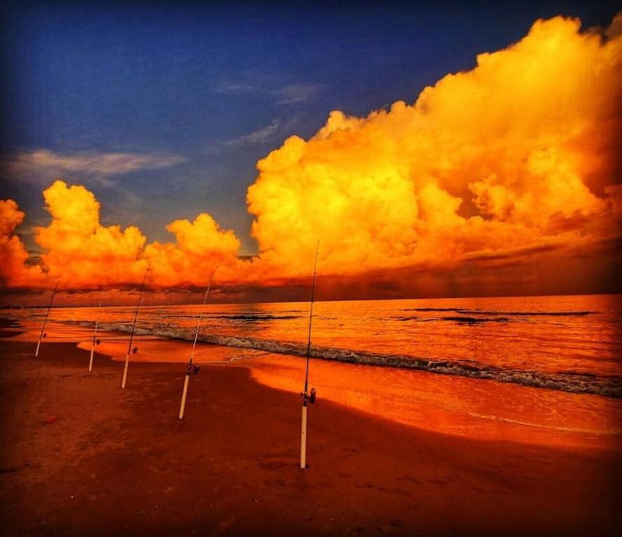 Tortuga Tillys Cape San Blas Esterno foto
