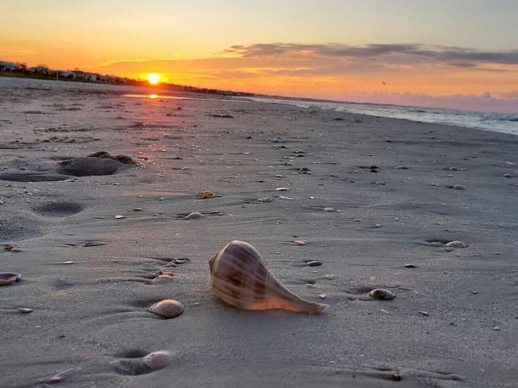 Tortuga Tillys Cape San Blas Esterno foto