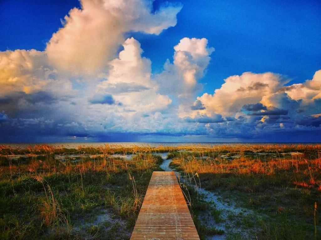 Tortuga Tillys Cape San Blas Esterno foto