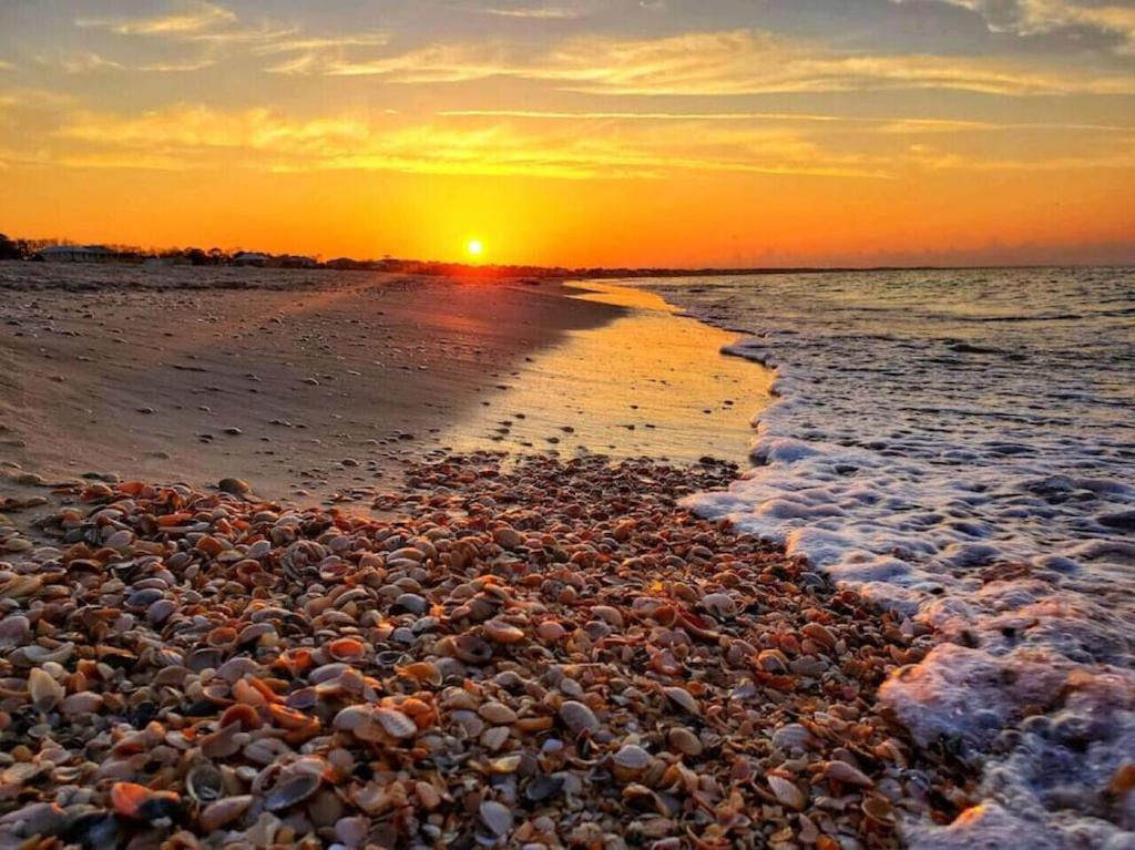 Tortuga Tillys Cape San Blas Esterno foto